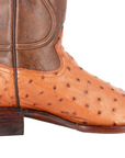 Bota Oval Exótica Avestruz Lozen