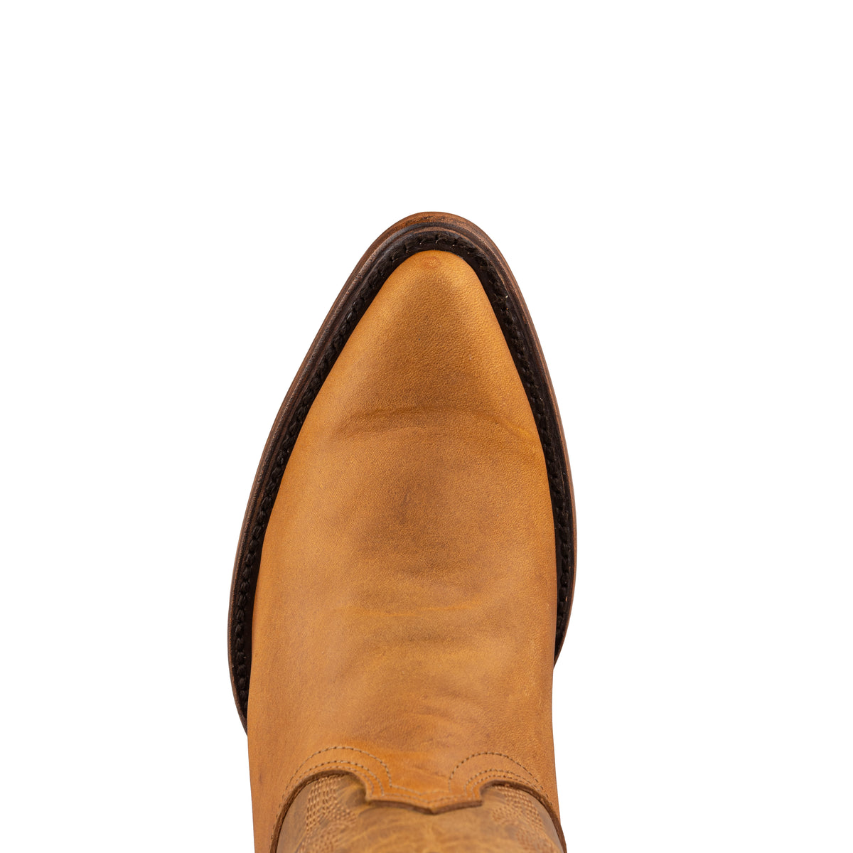 Botin Velvet Lozen Crazy Miel