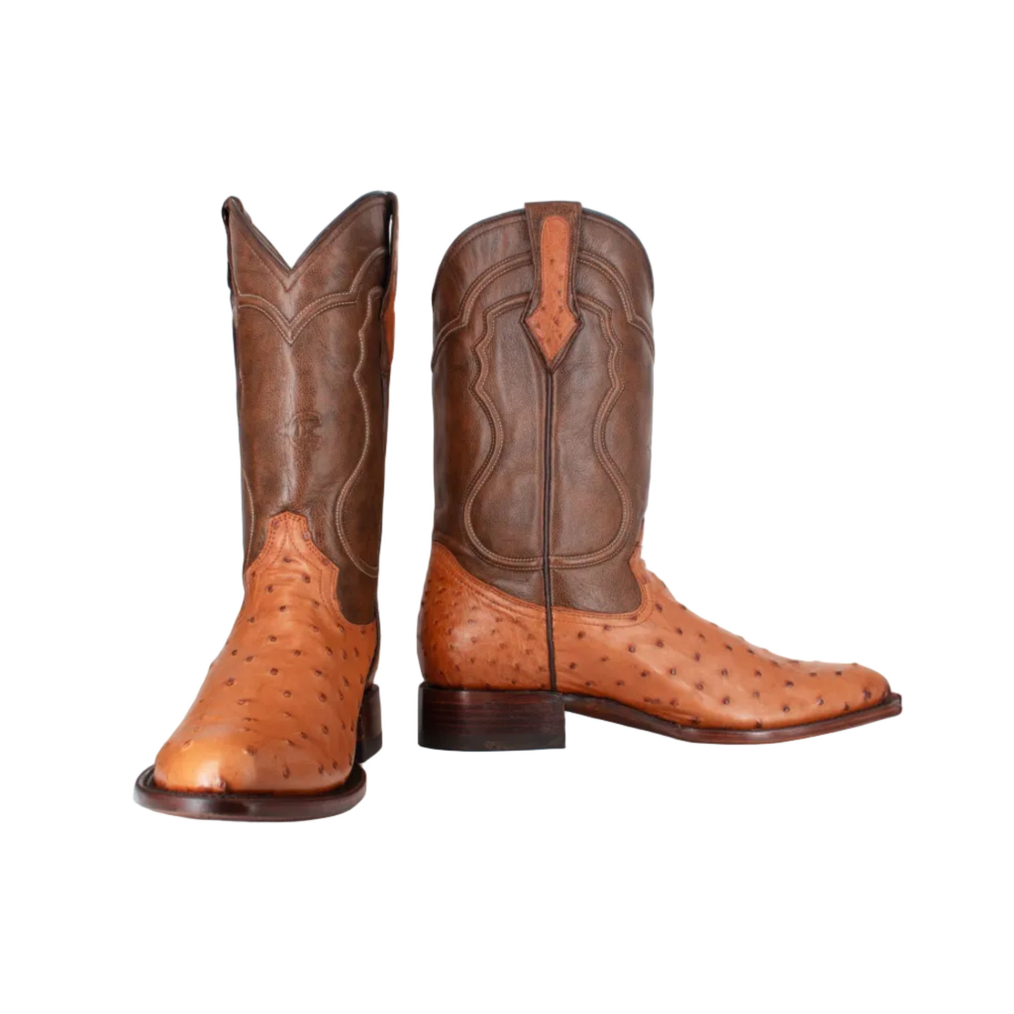 Bota Oval Exótica Avestruz Lozen