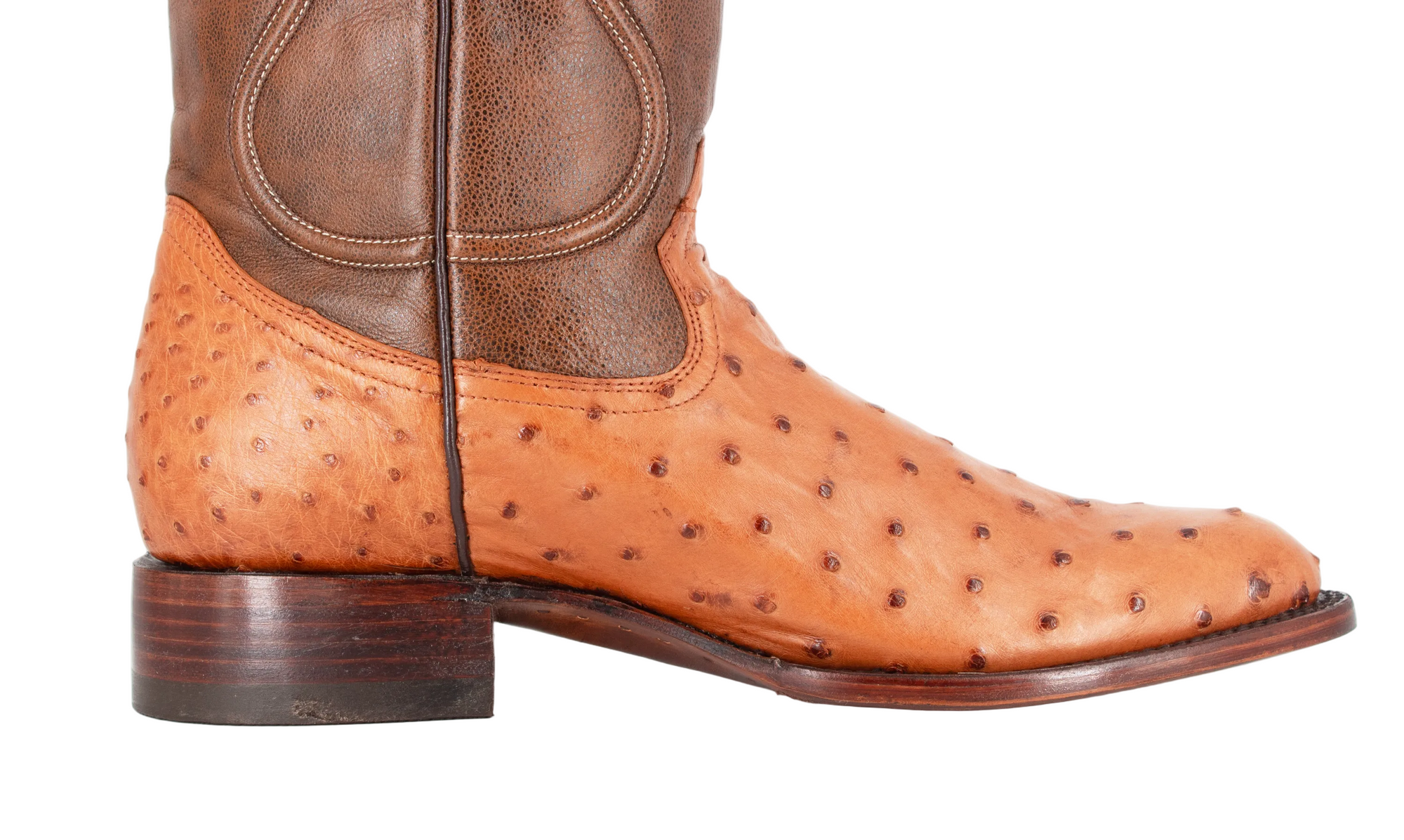 Bota Oval Exótica Avestruz Lozen