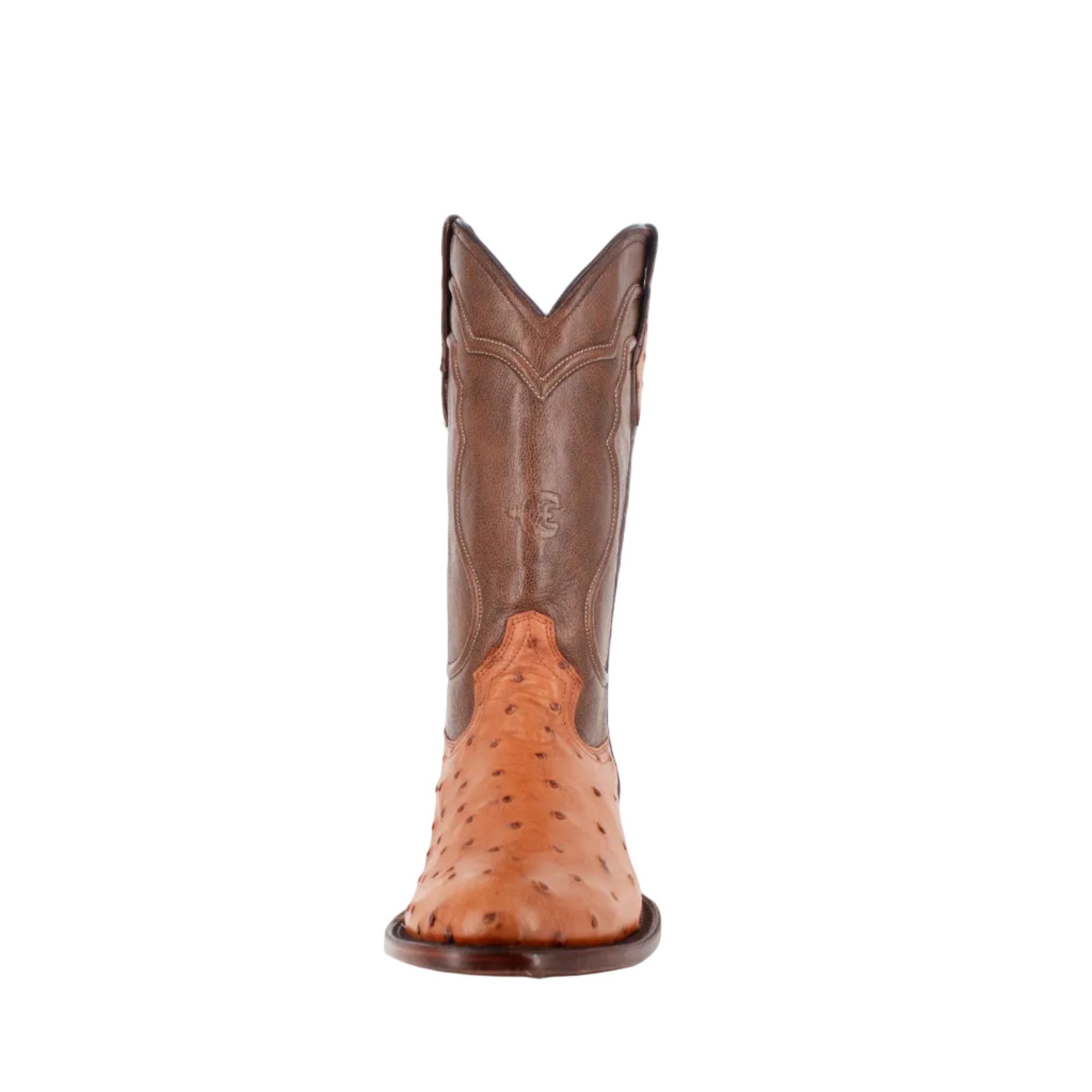 Bota Oval Exótica Avestruz Lozen