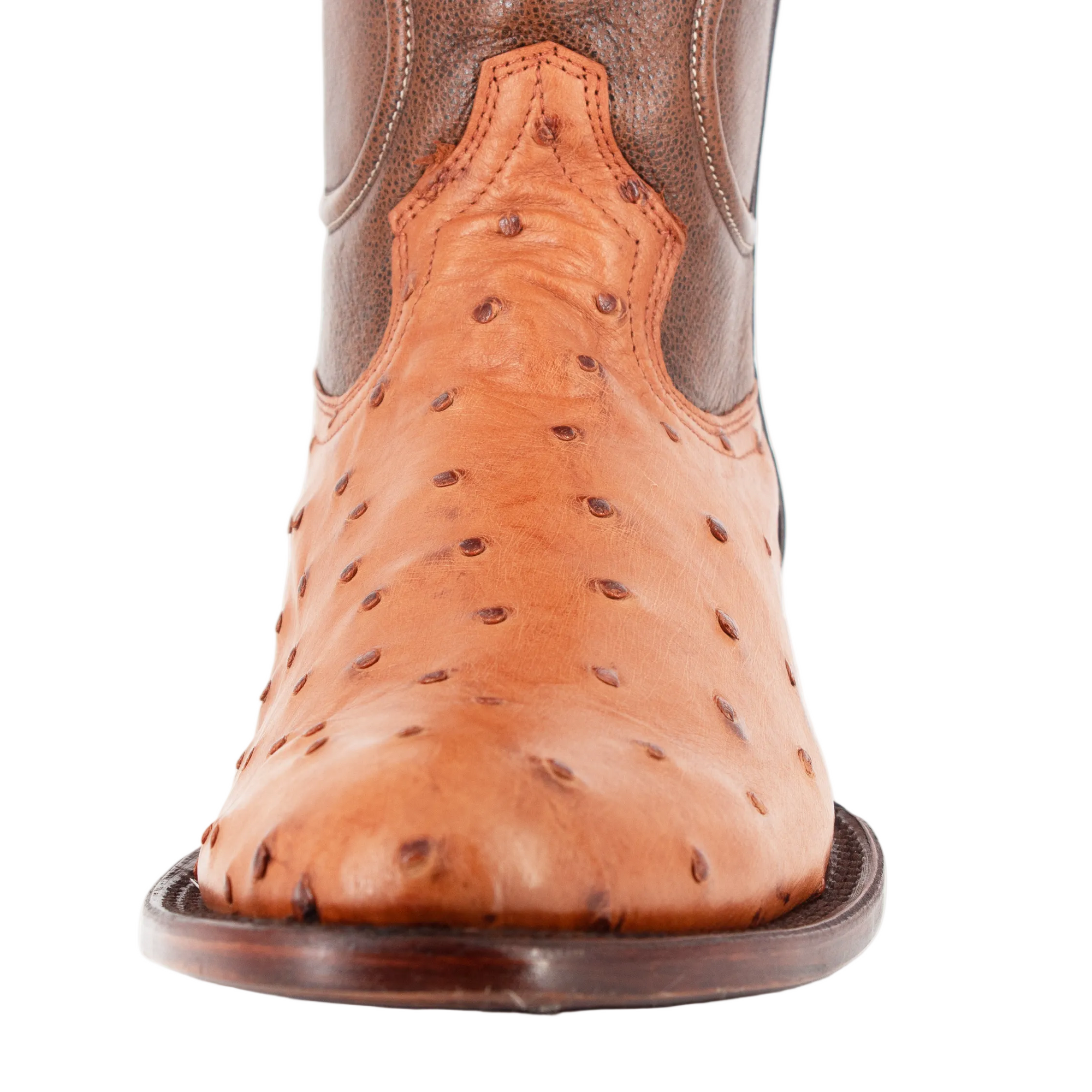 Bota Oval Exótica Avestruz Lozen