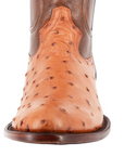 Bota Oval Exótica Avestruz Lozen