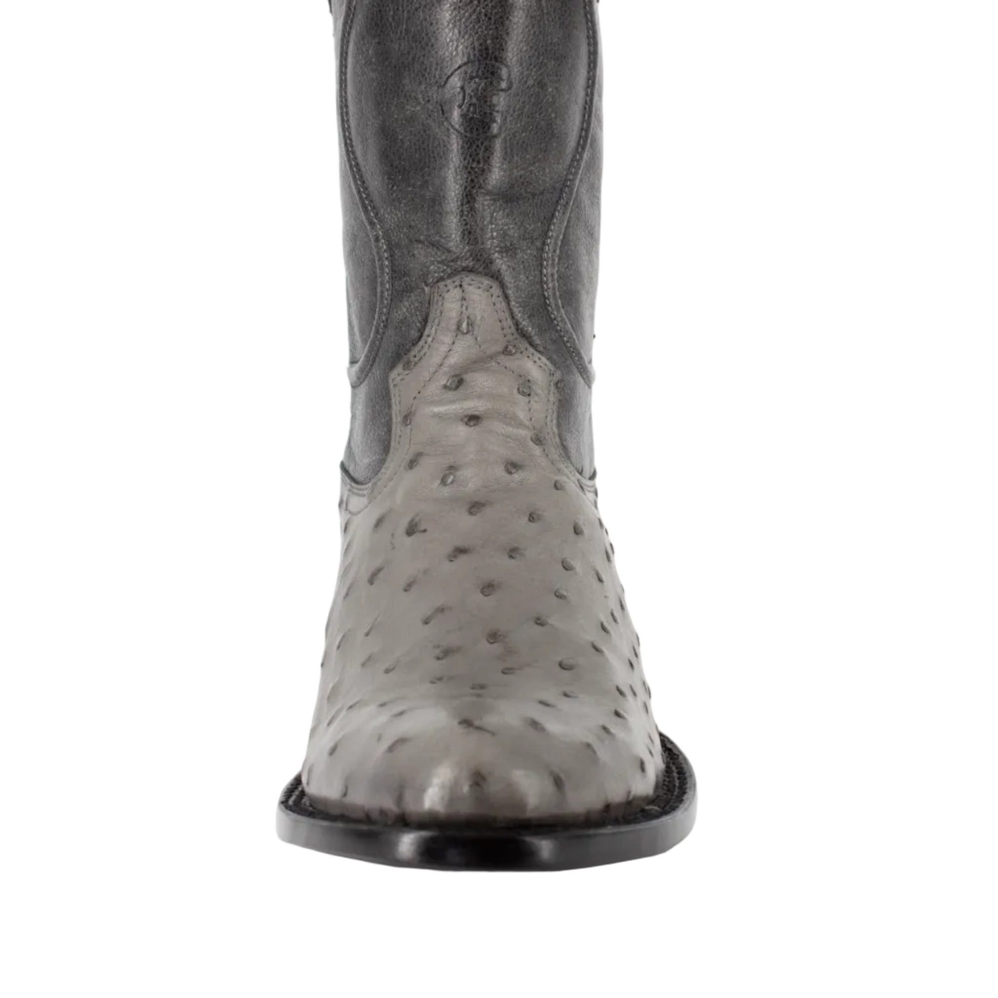Bota Oval Exótica Avestruz Lozen